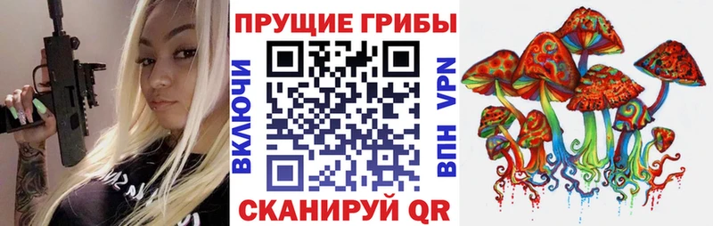 Галлюциногенные грибы прущие грибы  купить наркотик  Гусиноозёрск 